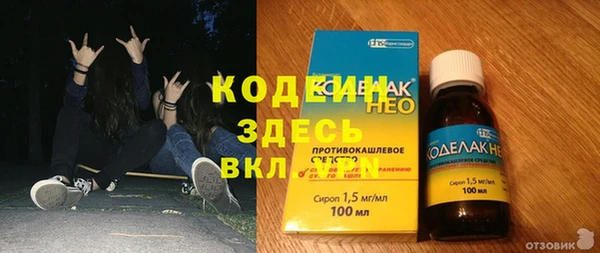 2c-b Горнозаводск