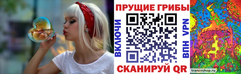 Псилоцибиновые грибы мицелий  дарнет шоп  Заводоуковск 