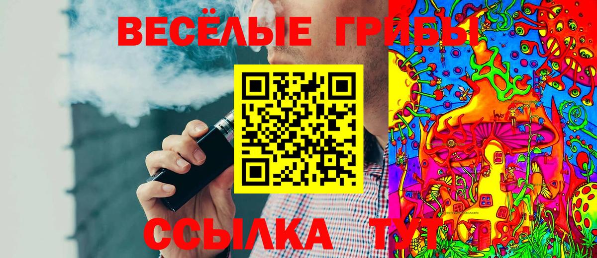 Псилоцибиновые грибы Psilocybine cubensis  Вход с VPN  Заводоуковск 