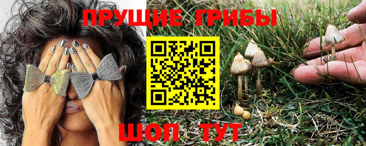 Галлюциногенные грибы мухоморы Заводоуковск